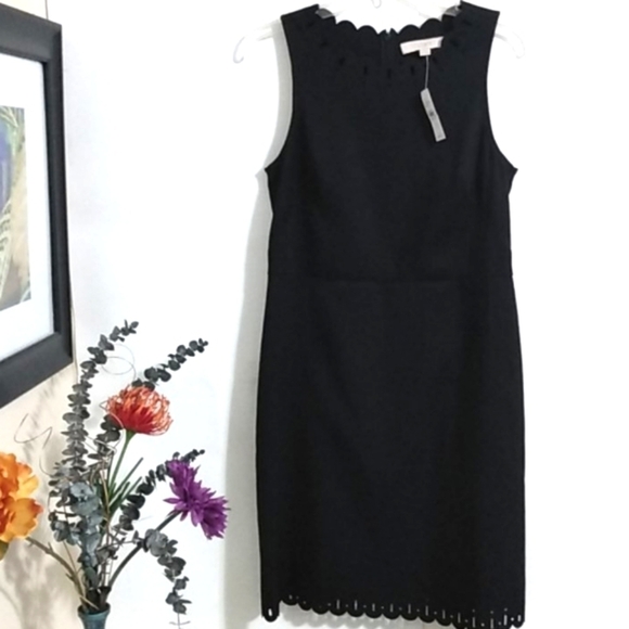 ANN TAYLOR LOFT NWT BLACK SHEATH DRESS SIZE 6 - Picture 13 of 13